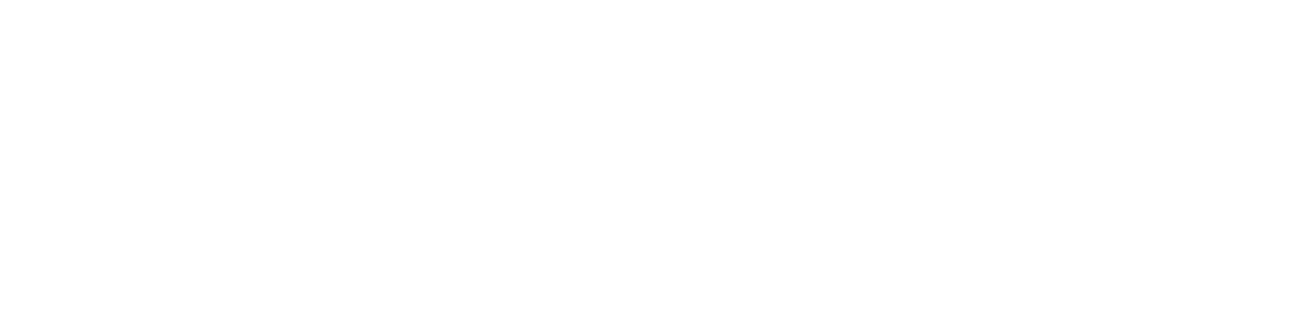 DVI Works Logo